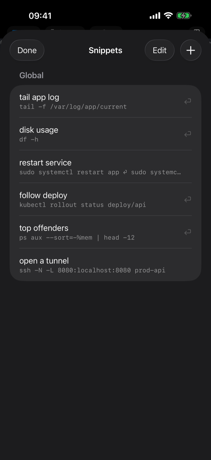 The dotMux snippets sheet on iPhone, listing global snippets such as tail app log, disk usage and follow deploy.