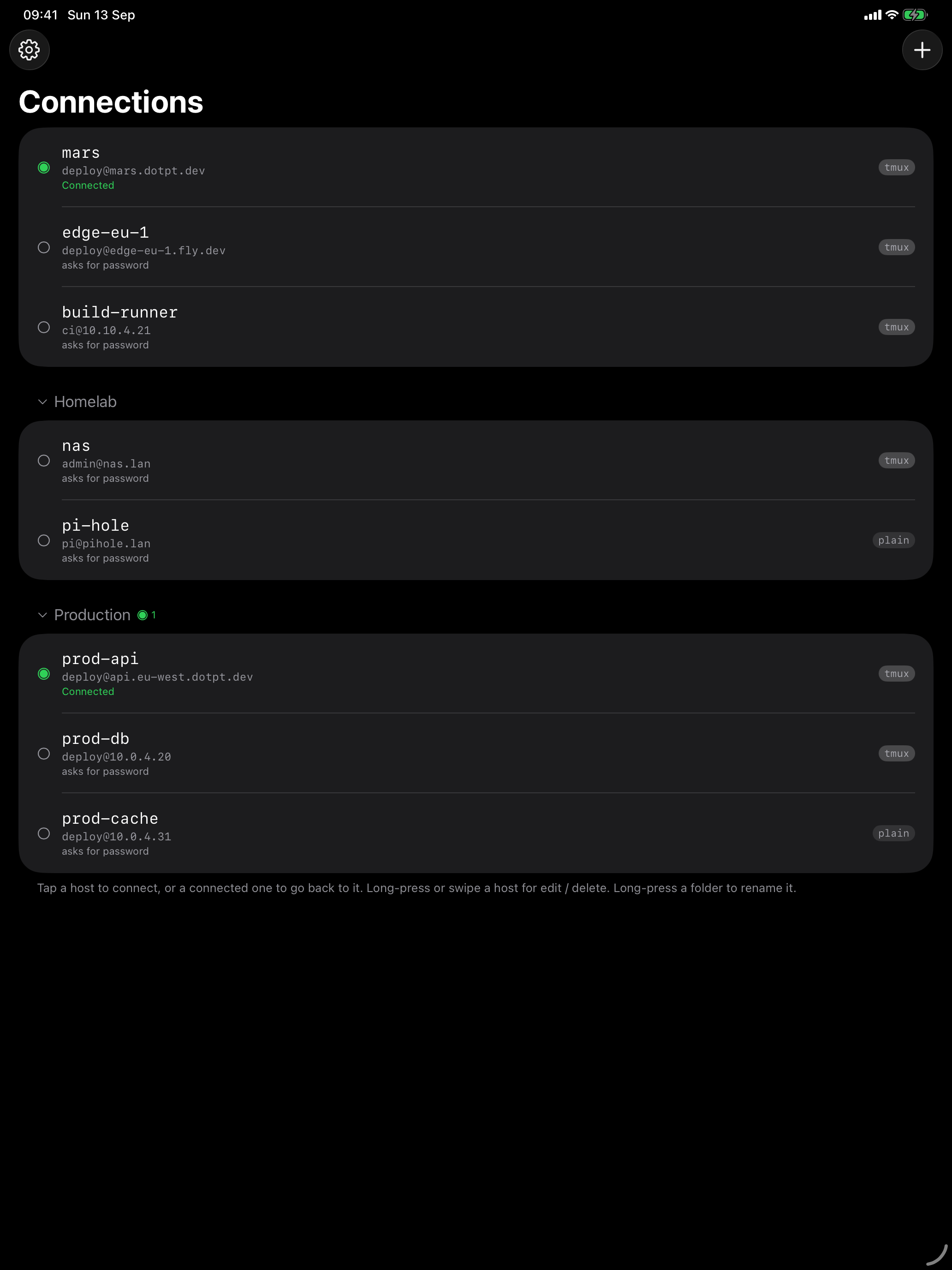 The dotMux connections list on iPad with foldered hosts and live connection markers.