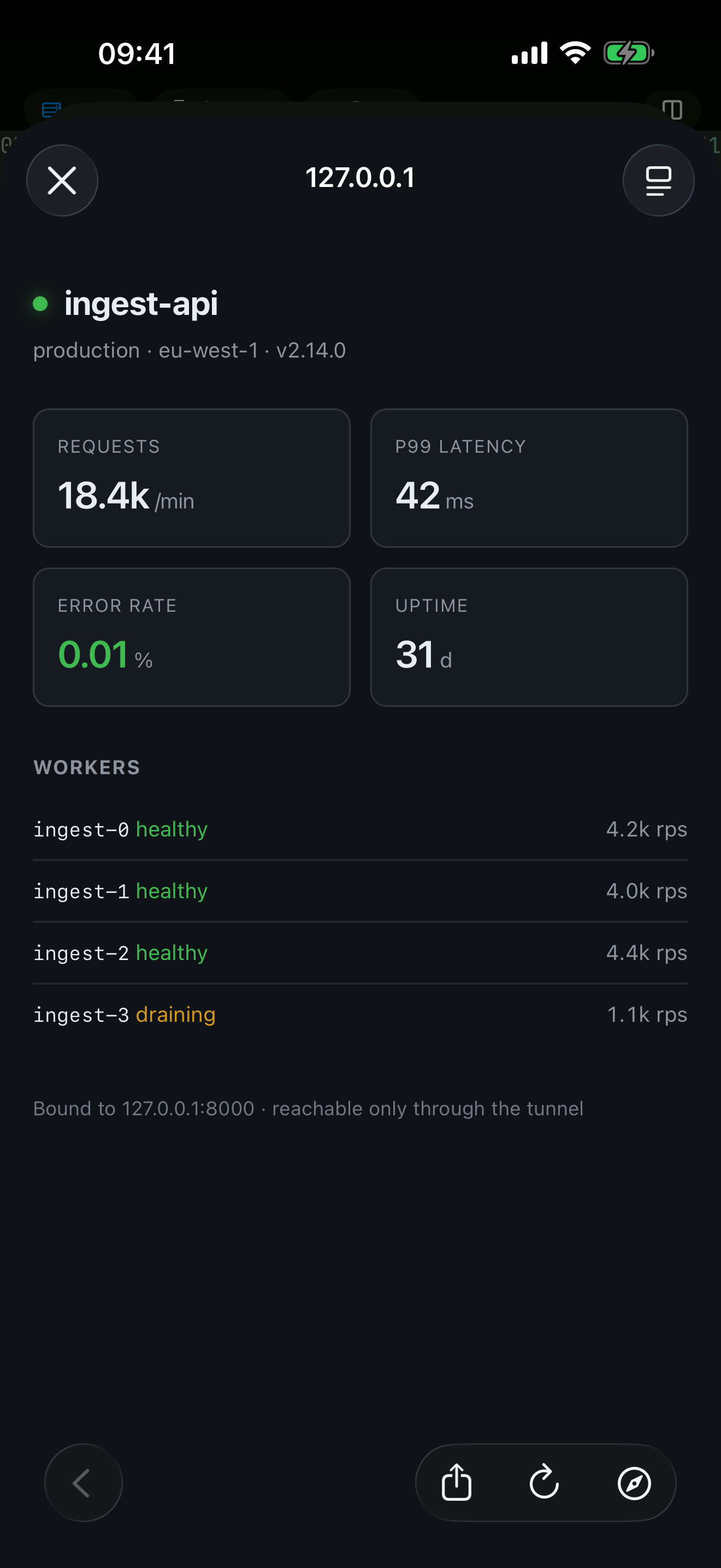 A remote service dashboard open in dotMux's in-app browser on iPhone, served over an SSH port forward bound to 127.0.0.1.