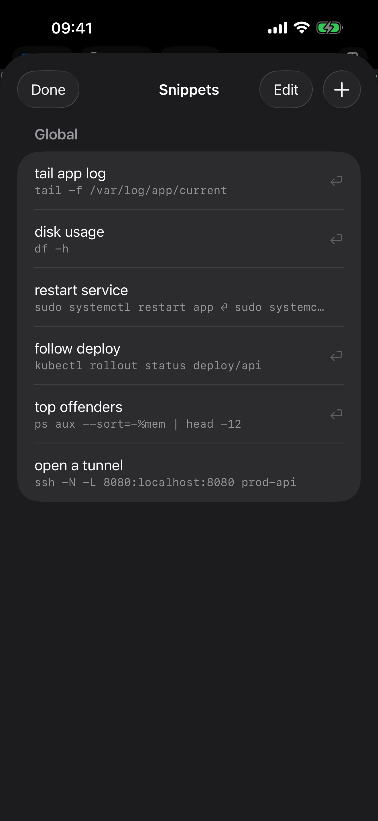 The dotMux snippets sheet on iPhone listing saved commands such as tail app log, disk usage and follow deploy.
