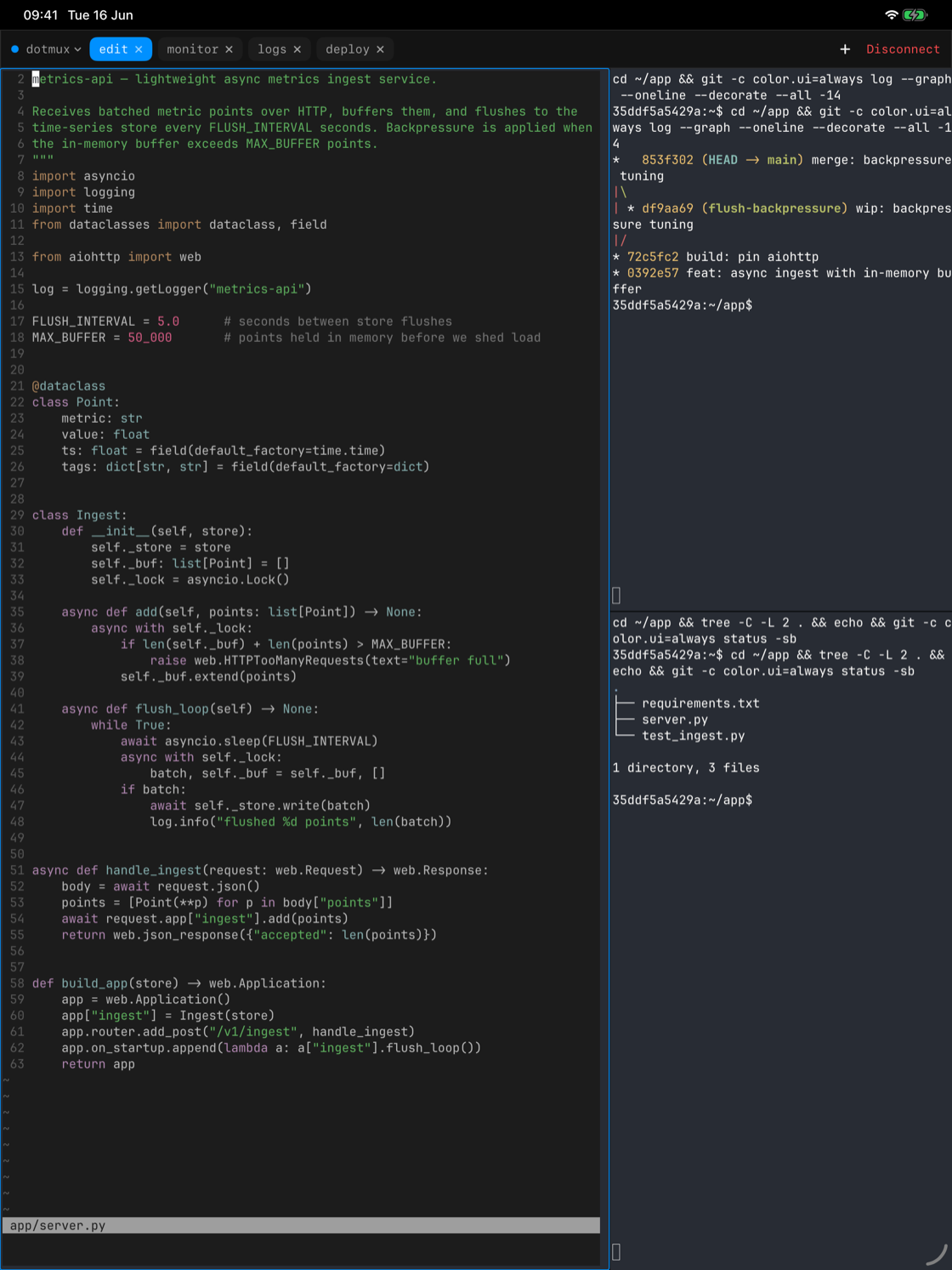 dotMux on iPad showing three native panes side by side.
