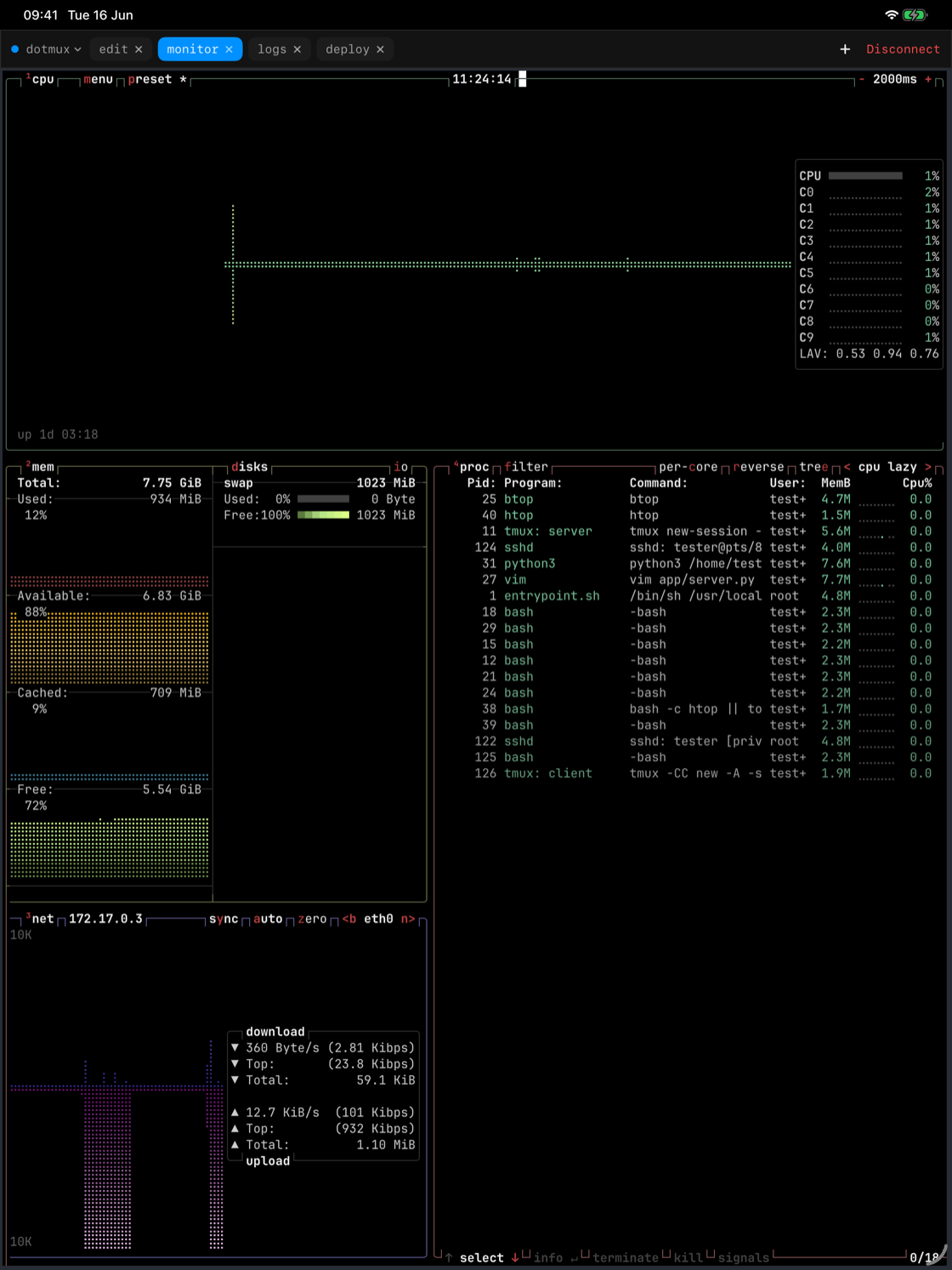 dotMux on iPad showing a full-window live system monitor rendered from a remote tmux pane.