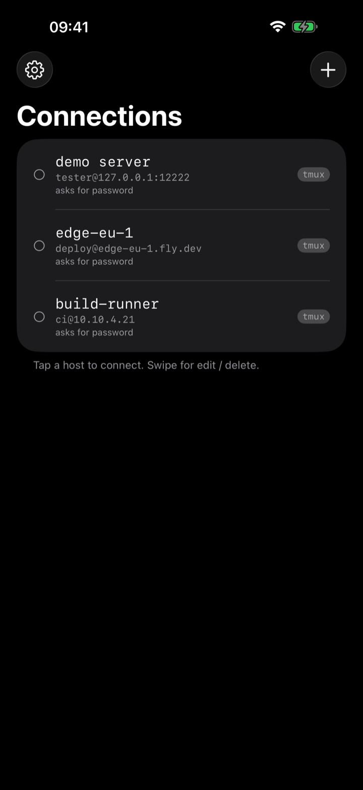 The dotMux host list on iPhone.