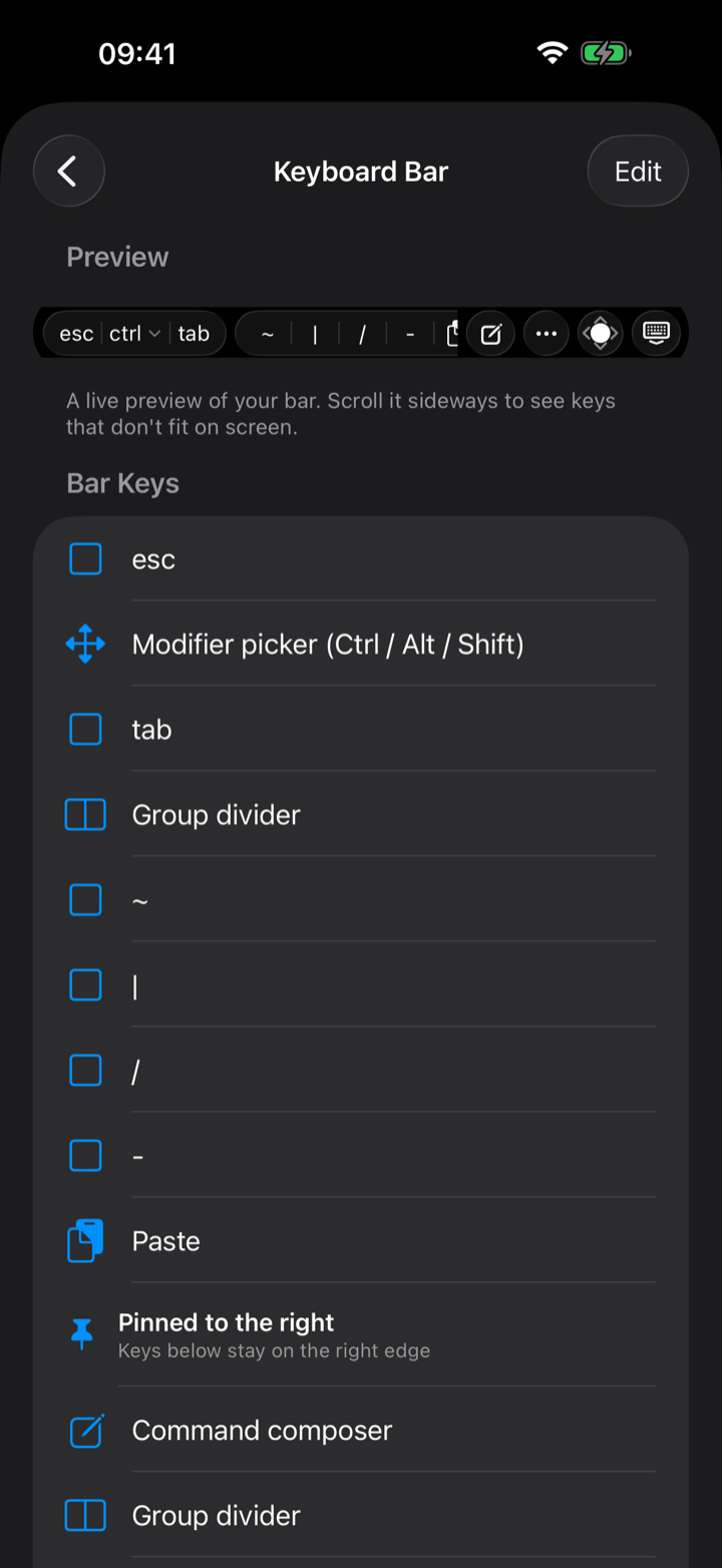 The dotMux keyboard-bar customization editor on iPhone.
