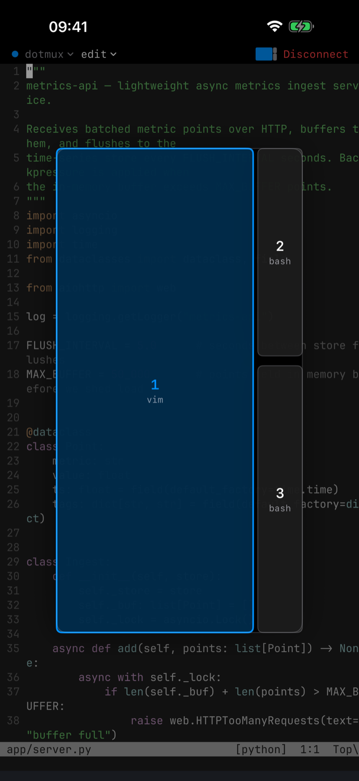 The dotMux pane picker on iPhone — a vim pane and two shells shown as cards, with the focused pane highlighted.