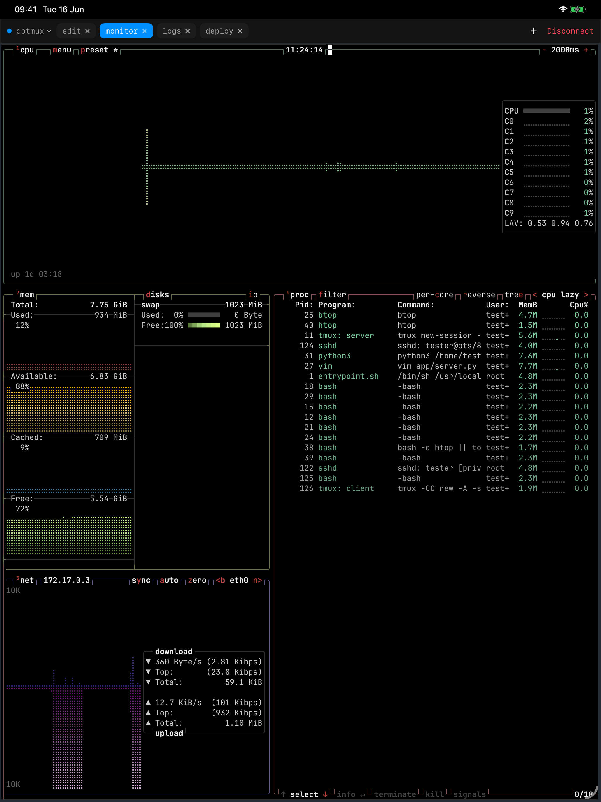 dotMux on iPad showing a full-window live system monitor rendered natively from a remote tmux pane.